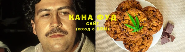 apvp Ельня