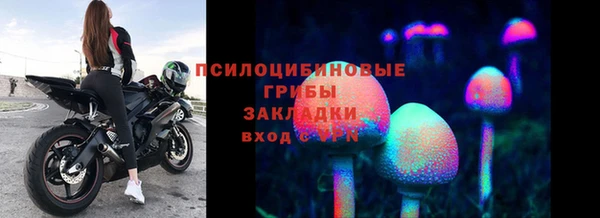 apvp Ельня