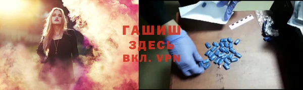 apvp Ельня