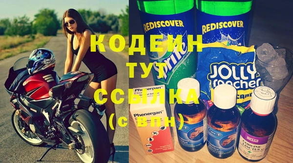 apvp Ельня