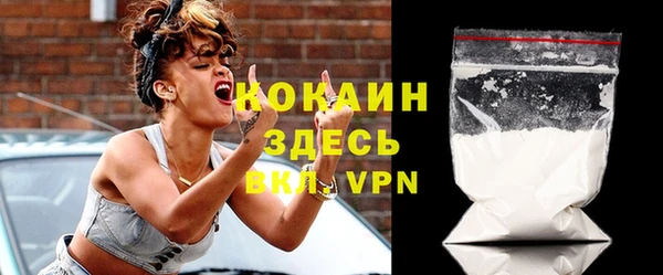 apvp Ельня