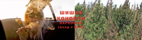 apvp Ельня